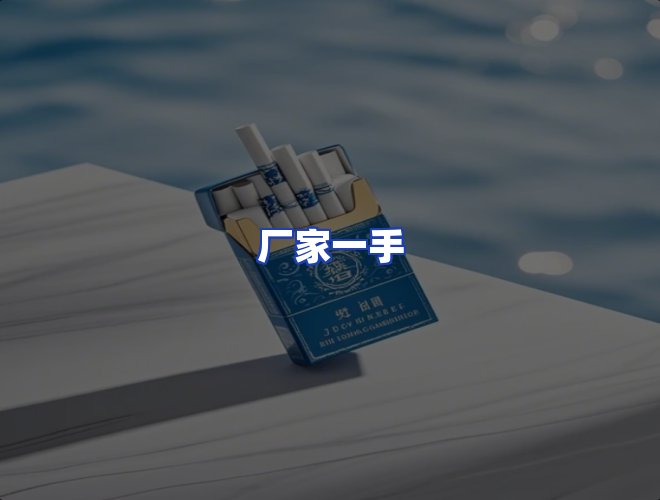 专业团队